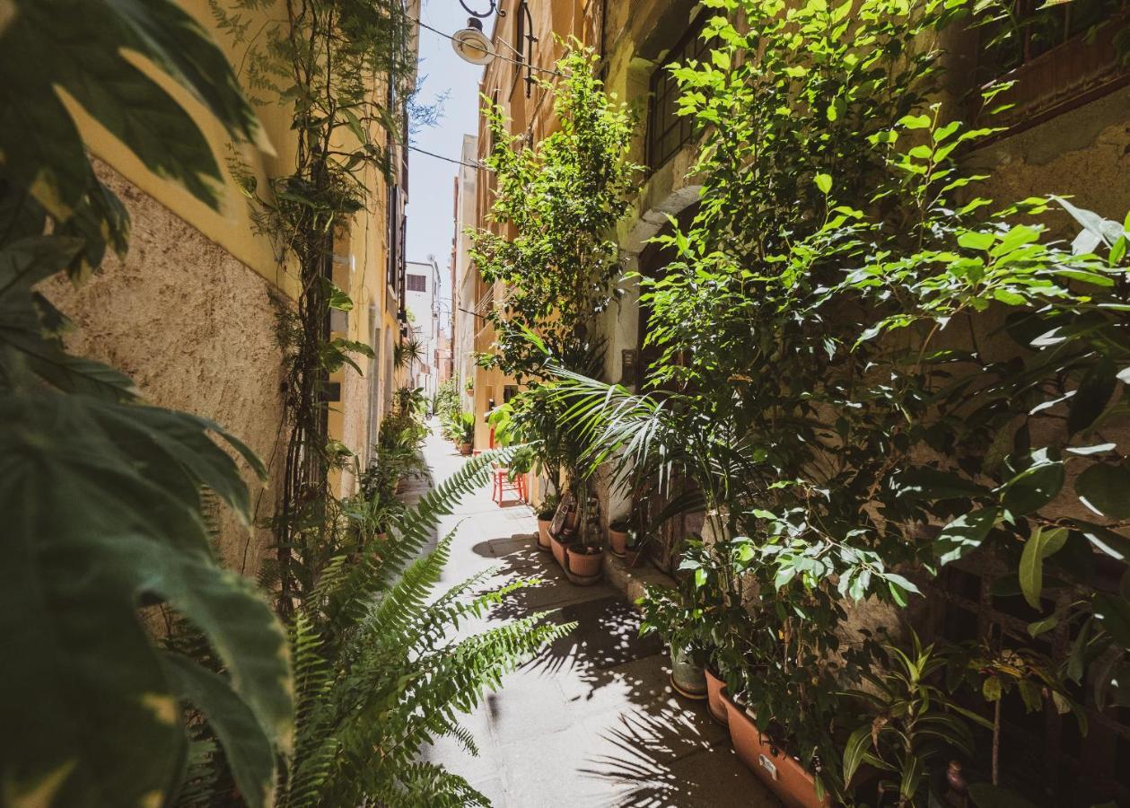 Appartamento Maestrale - Quartiere Castello Cagliari Kültér fotó